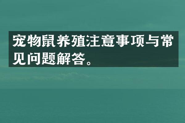 宠物鼠养殖注意事项与常见问题解答。