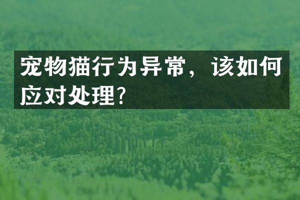 宠物猫行为异常，该如何应对处理？
