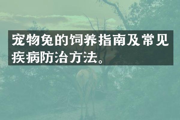 宠物兔的饲养指南及常见疾病防治方法。