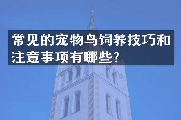 常见的宠物鸟饲养技巧和注意事项有哪些？