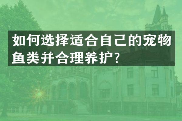 如何选择适合自己的宠物鱼类并合理养护？