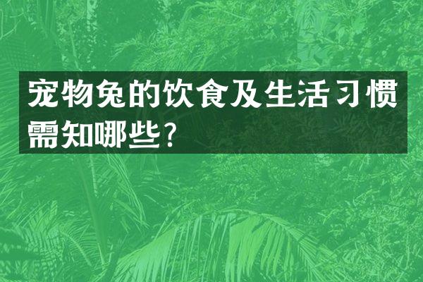 宠物兔的饮食及生活习惯需知哪些？