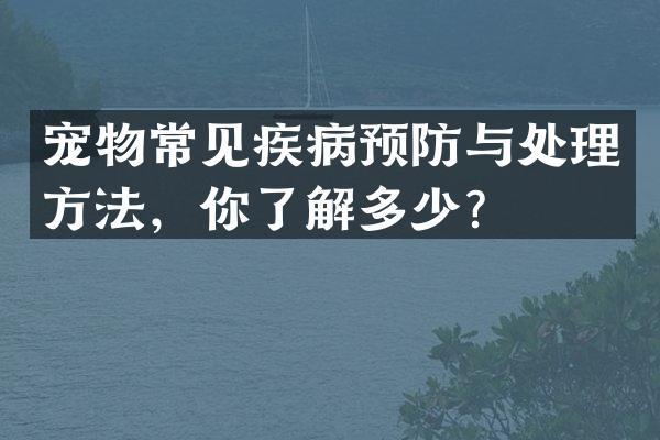 宠物常见疾病预防与处理方法，你了解多少？