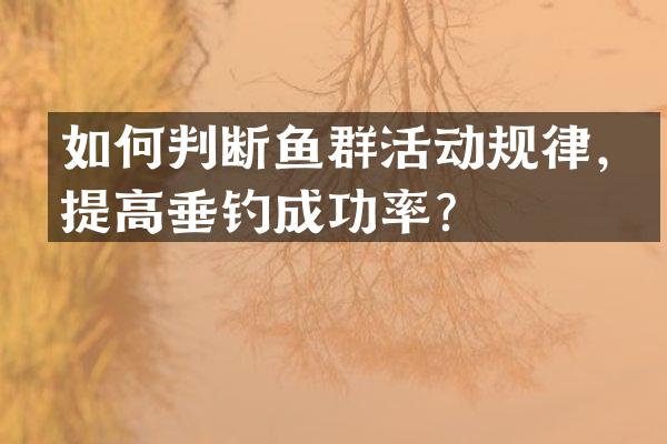 如何判断鱼群活动规律，提高垂钓成功率？