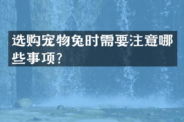 选购宠物兔时需要注意哪些事项？