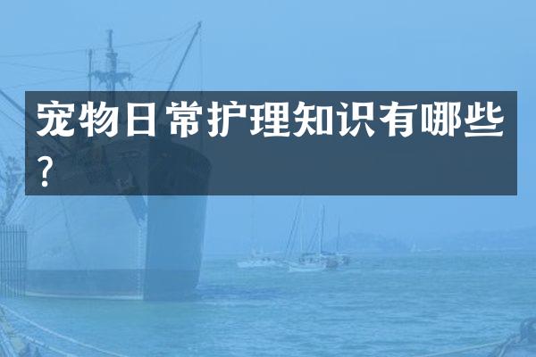 宠物日常护理知识有哪些？