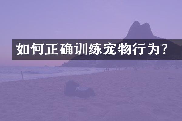 如何正确训练宠物行为？