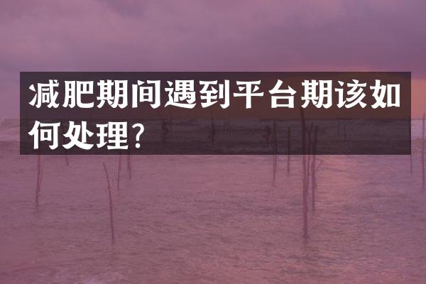 减肥期间遇到平台期该如何处理？
