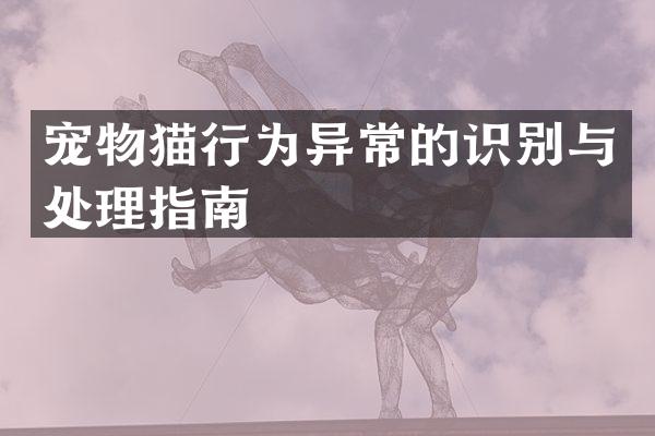 宠物猫行为异常的识别与处理指南