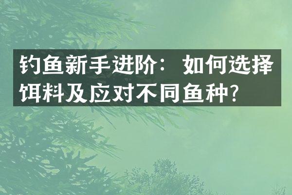 钓鱼新手进阶：如何选择饵料及应对不同鱼种？
