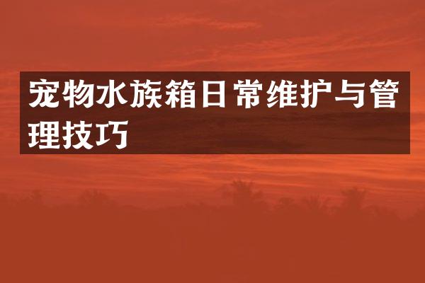 宠物水族箱日常维护与管理技巧