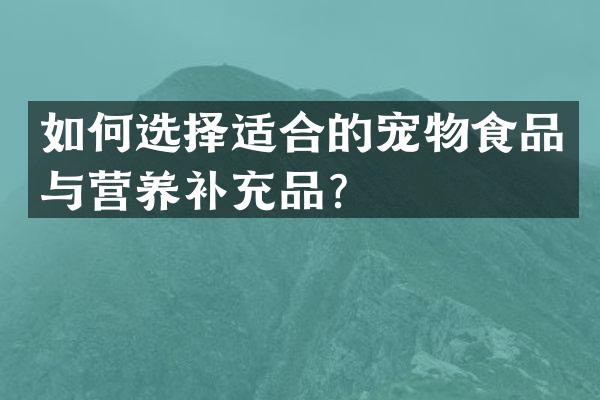 如何选择适合的宠物食品与营养补充品？