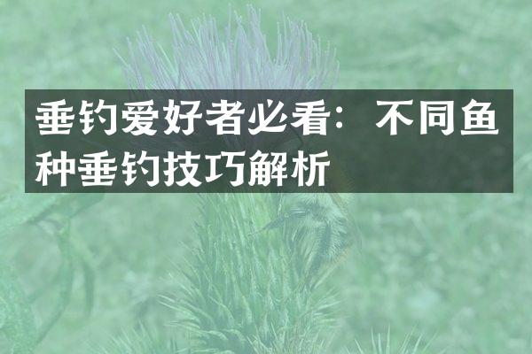 垂钓爱好者必看：不同鱼种垂钓技巧解析