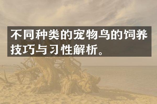 不同种类的宠物鸟的饲养技巧与习性解析。