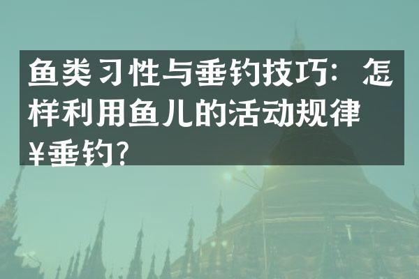 鱼类习性与垂钓技巧：怎样利用鱼儿的活动规律来垂钓？