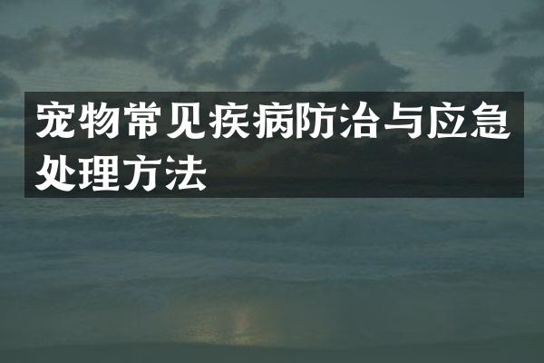 宠物常见疾病防治与应急处理方法