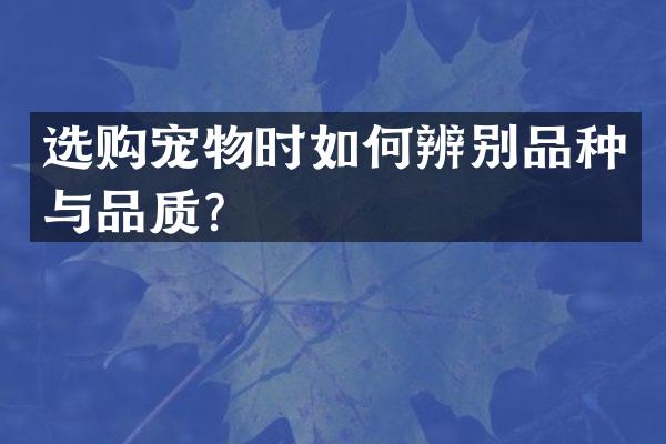 选购宠物时如何辨别品种与品质？