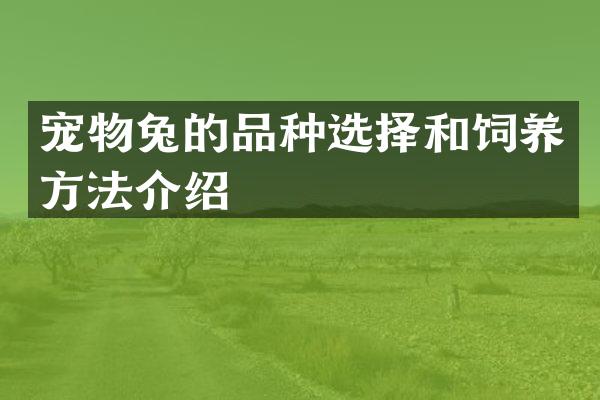 宠物兔的品种选择和饲养方法介绍