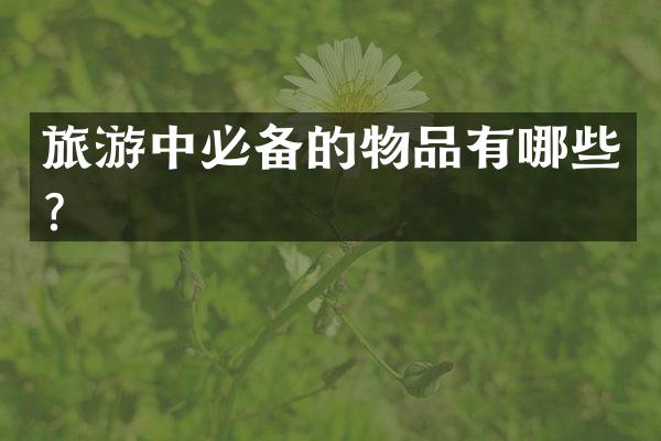 旅游中必备的物品有哪些？