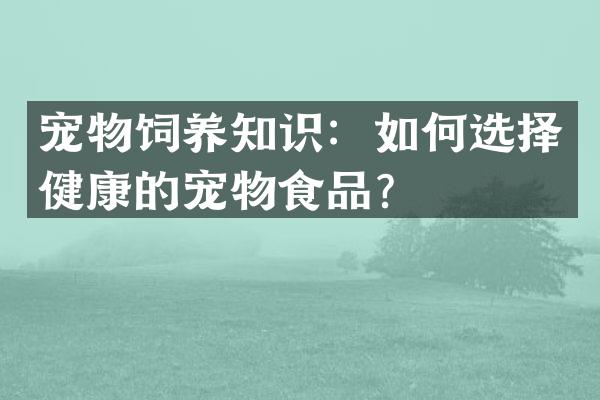 宠物饲养知识：如何选择健康的宠物食品？