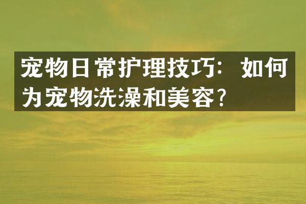 宠物日常护理技巧：如何为宠物洗澡和美容？