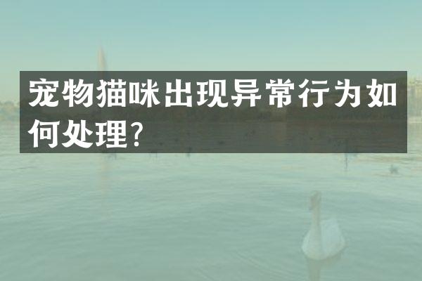 宠物猫咪出现异常行为如何处理？