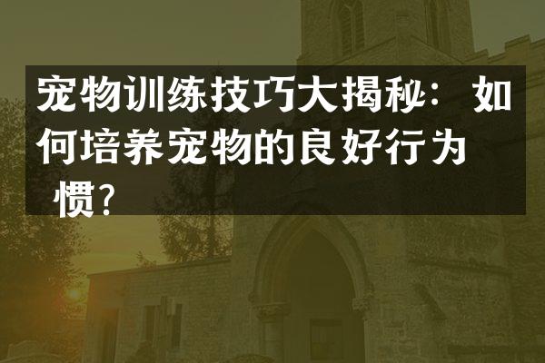 宠物训练技巧大揭秘：如何培养宠物的良好行为习惯？