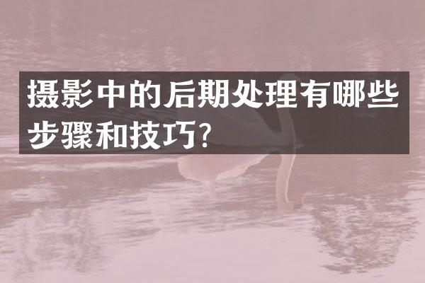 摄影中的后期处理有哪些步骤和技巧？