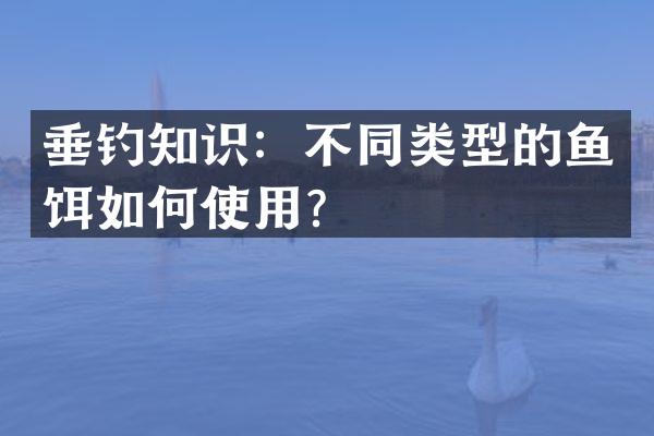 垂钓知识：不同类型的鱼饵如何使用？