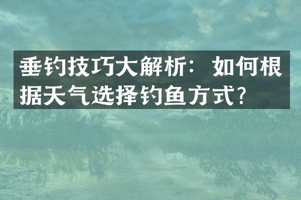 垂钓技巧大解析：如何根据天气选择钓鱼方式？
