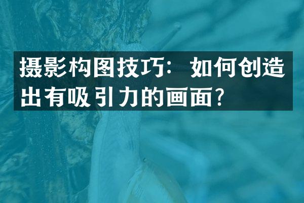 摄影构图技巧：如何创造出有吸引力的画面？