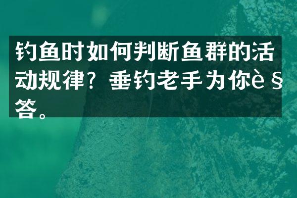 钓鱼时如何判断鱼群的活动规律？垂钓老手为你解答。