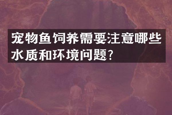 宠物鱼饲养需要注意哪些水质和环境问题？
