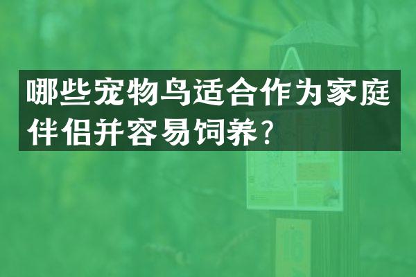 哪些宠物鸟适合作为家庭伴侣并容易饲养？