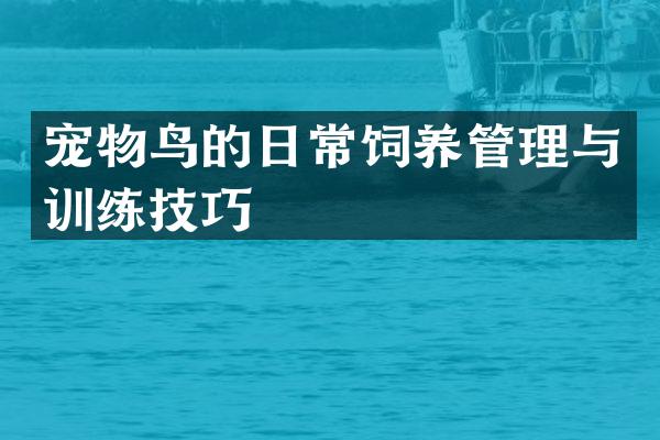 宠物鸟的日常饲养管理与训练技巧