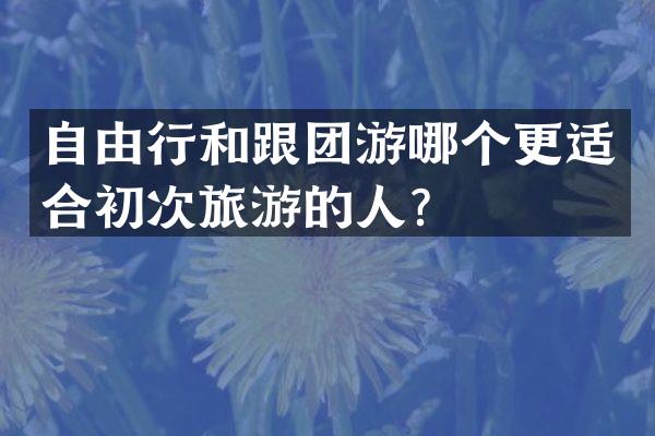 自由行和跟团游哪个更适合初次旅游的人？