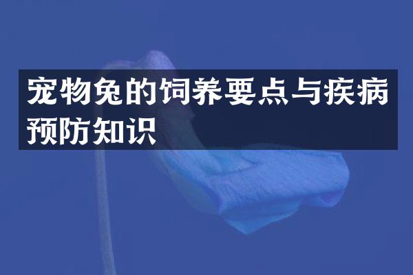 宠物兔的饲养要点与疾病预防知识