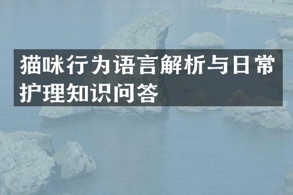 猫咪行为语言解析与日常护理知识问答