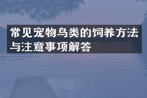 常见宠物鸟类的饲养方法与注意事项解答