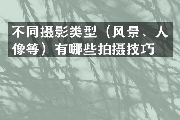 不同摄影类型（风景、人像等）有哪些拍摄技巧？