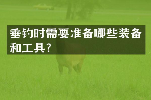 垂钓时需要准备哪些装备和工具？