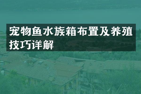 宠物鱼水族箱布置及养殖技巧详解