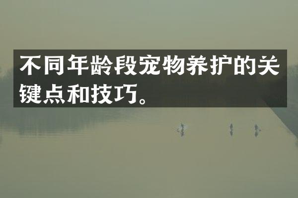 不同年龄段宠物养护的关键点和技巧。
