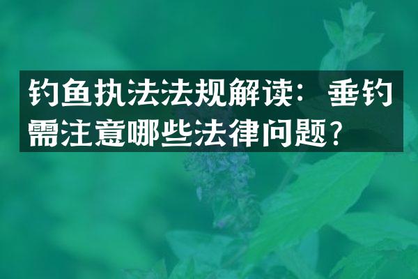 钓鱼执法法规解读：垂钓需注意哪些法律问题？