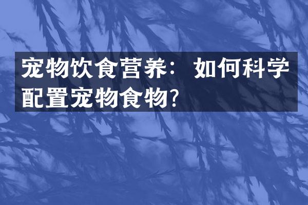 宠物饮食营养：如何科学配置宠物食物？
