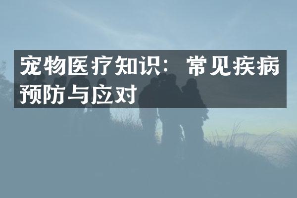宠物医疗知识：常见疾病预防与应对