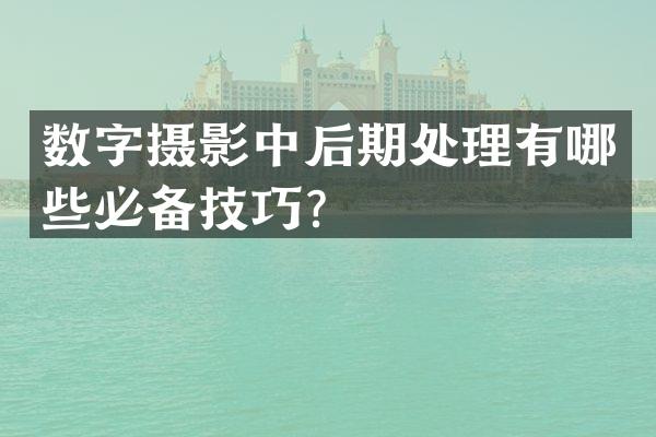 数字摄影中后期处理有哪些必备技巧？