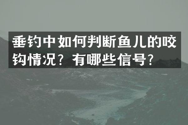 垂钓中如何判断鱼儿的咬钩情况？有哪些信号？