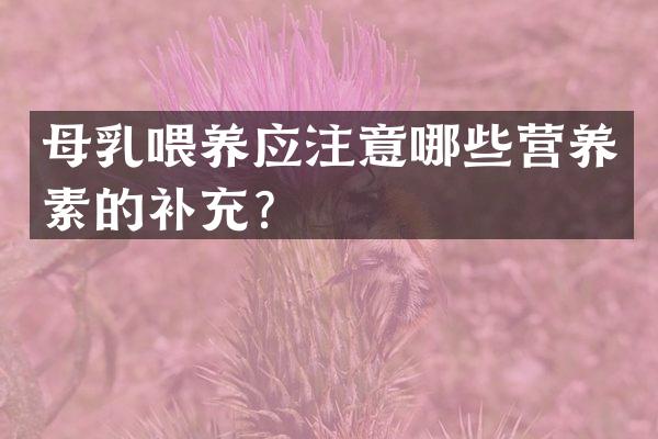 母乳喂养应注意哪些营养素的补充？