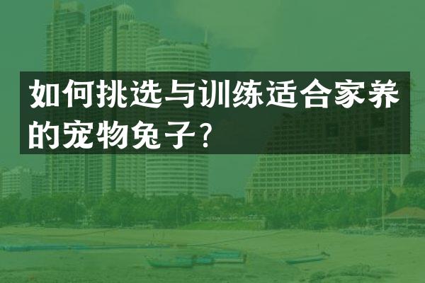 如何挑选与训练适合家养的宠物兔子？